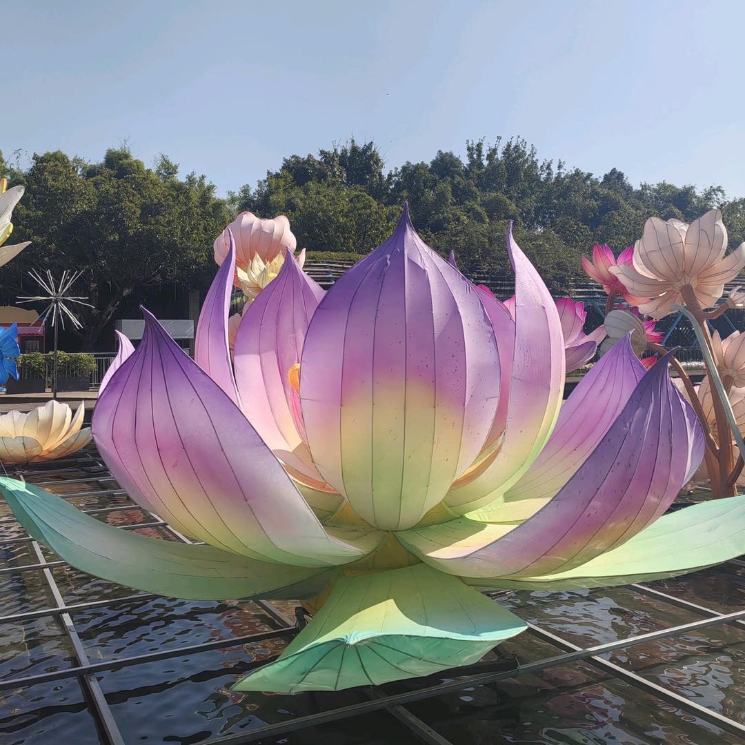 秋日私语巜广场舞》