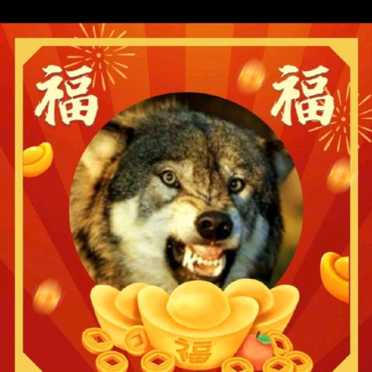 狼