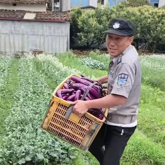 哥有女儿