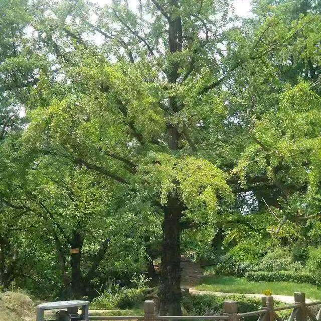 想要快乐美一天