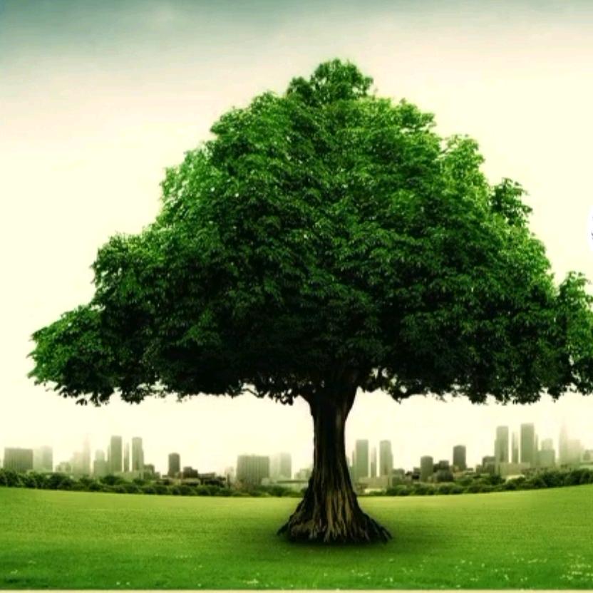 香烟过后都是灰