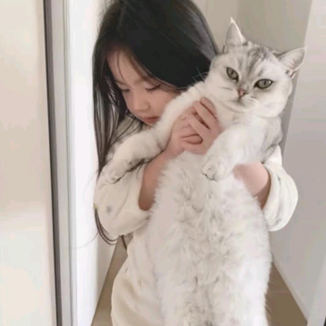 没人叫我若若了