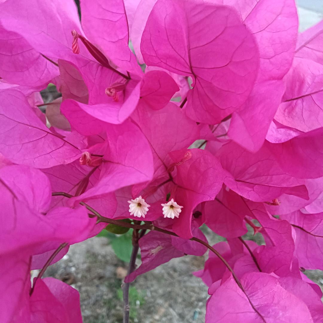 袁州区报废车公司