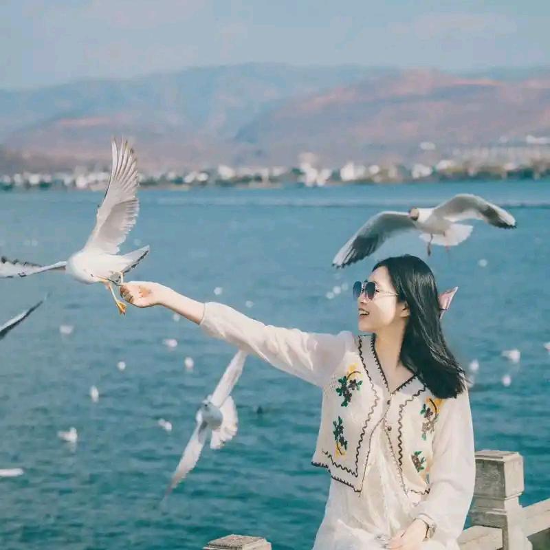 云南大理丽江纯玩游