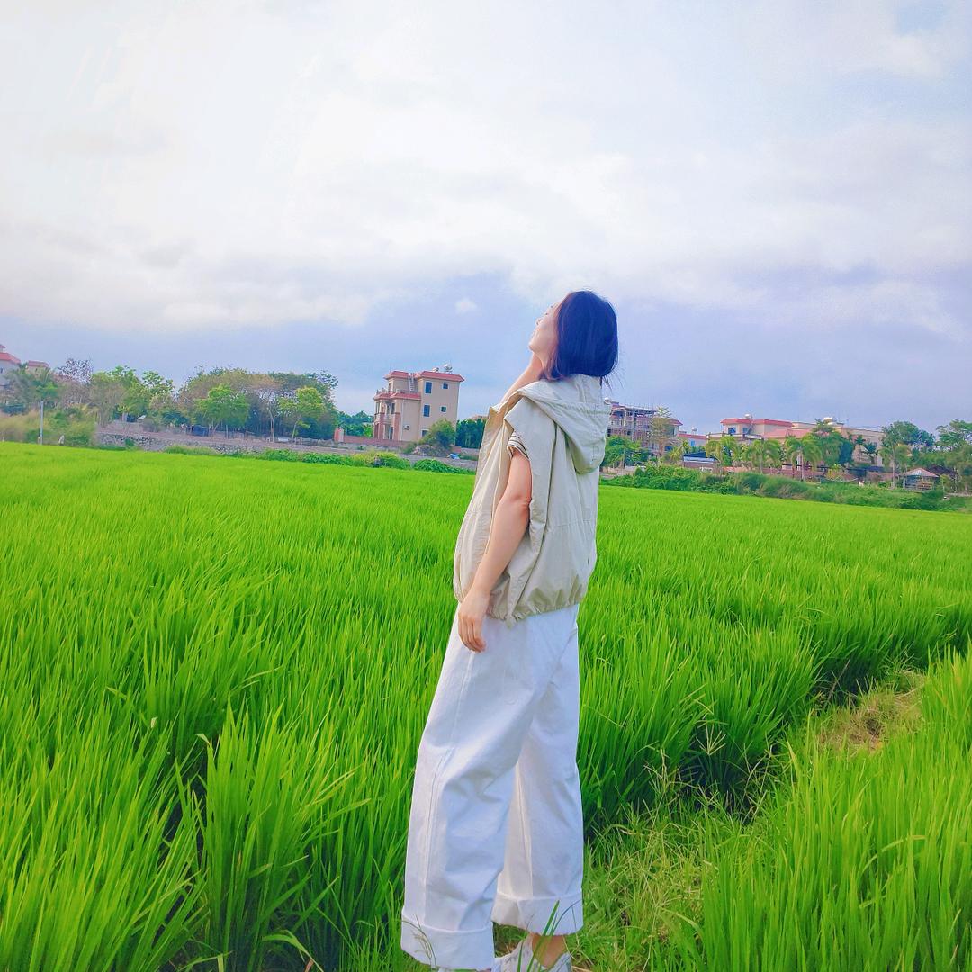 顾顾