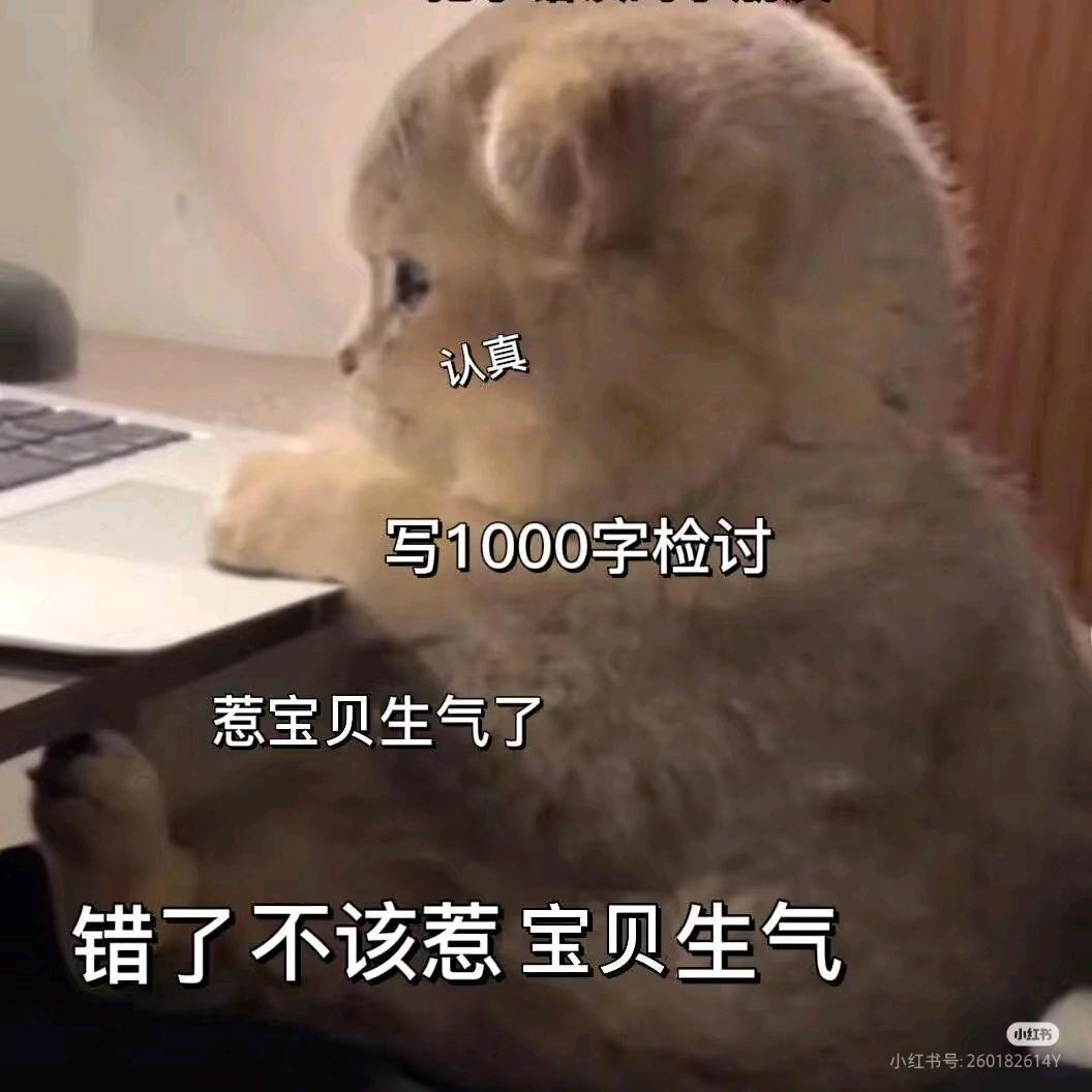 我错了