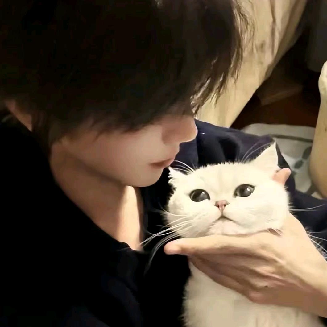 洛阳第一深情来干组局(良心组局版)