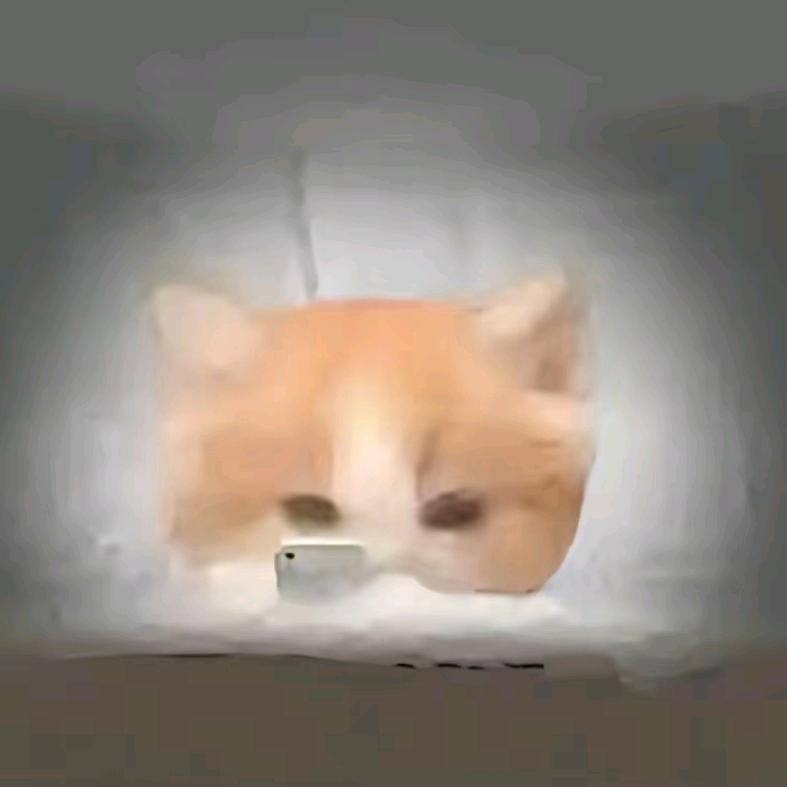 老鼠爱剪映冲300粉🐭