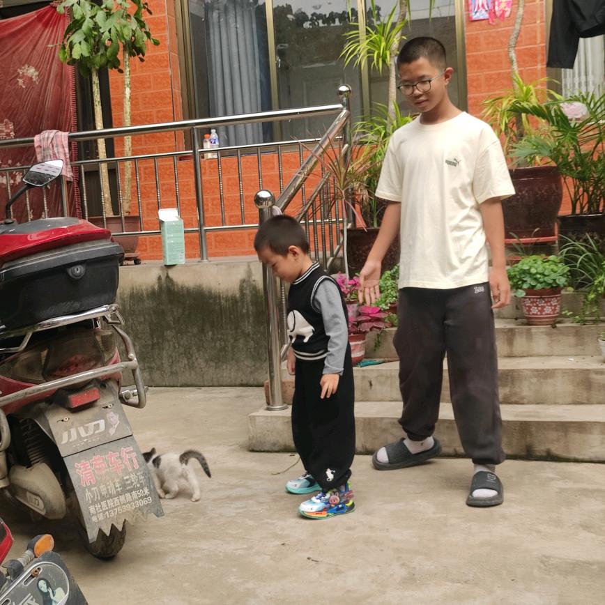 曹(●･̆⍛･̆●)