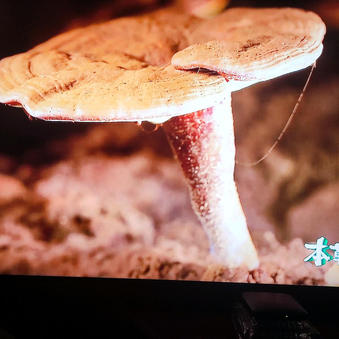 吉祥