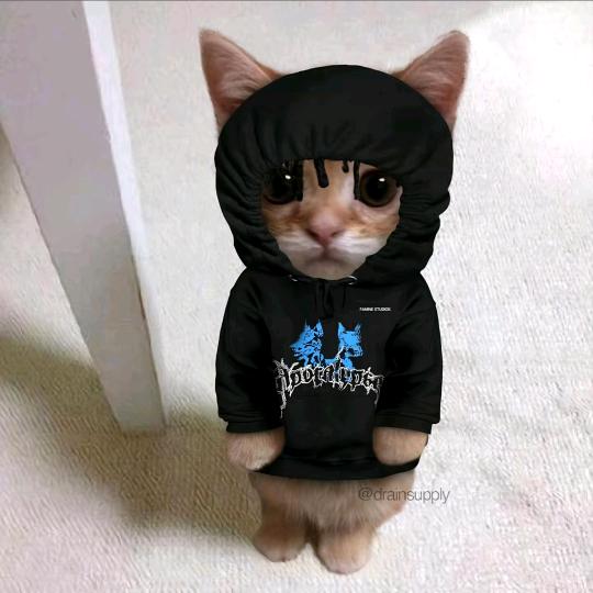 赤赤就是赫