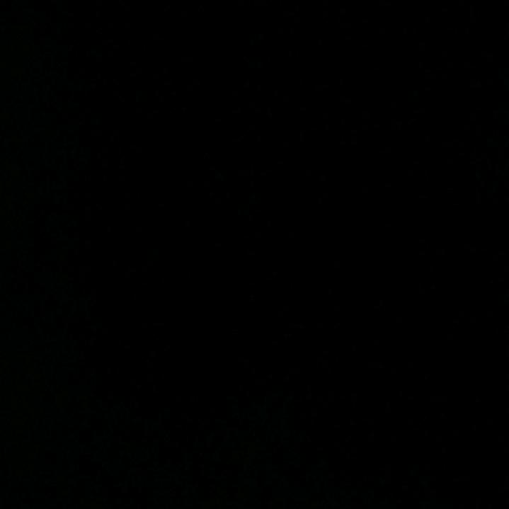 用户5541354030535