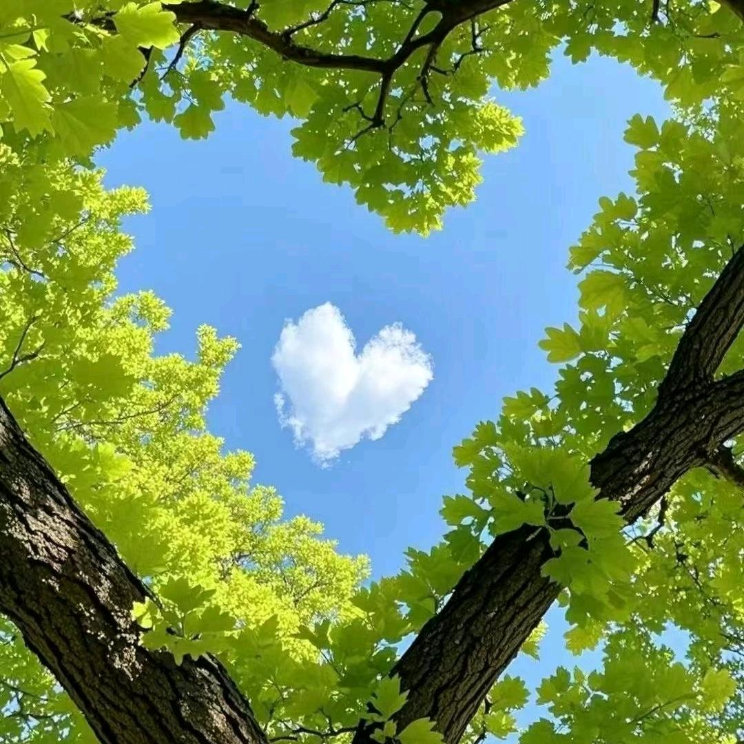 洛嵩