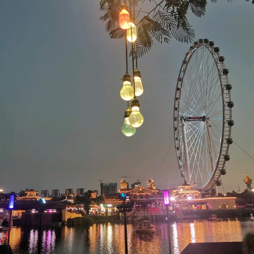 会飞的鱼🐬