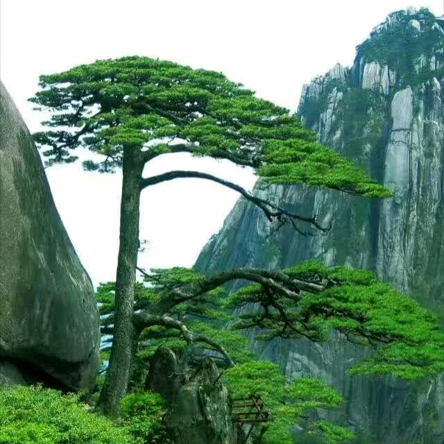 。坚强。