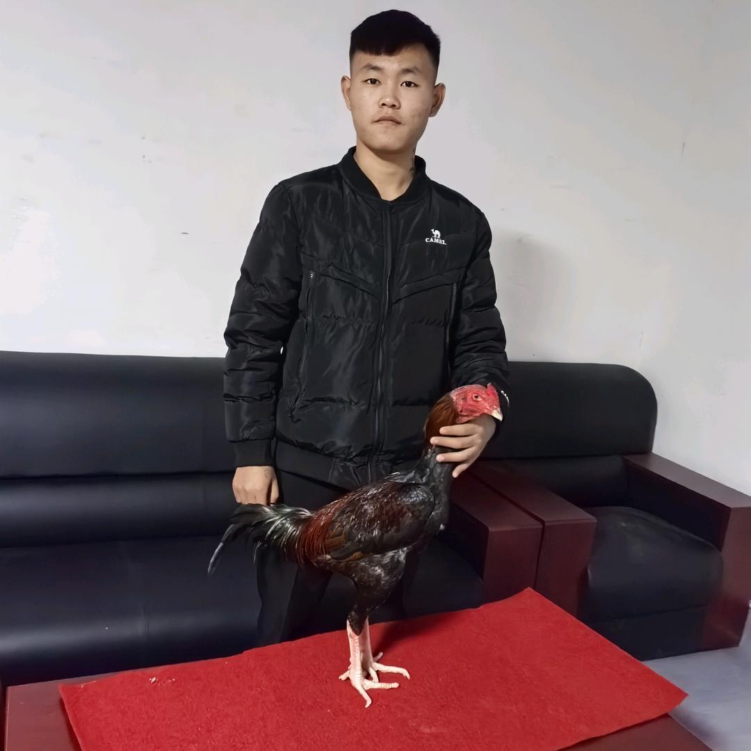 二杆子特战队（阿东）
