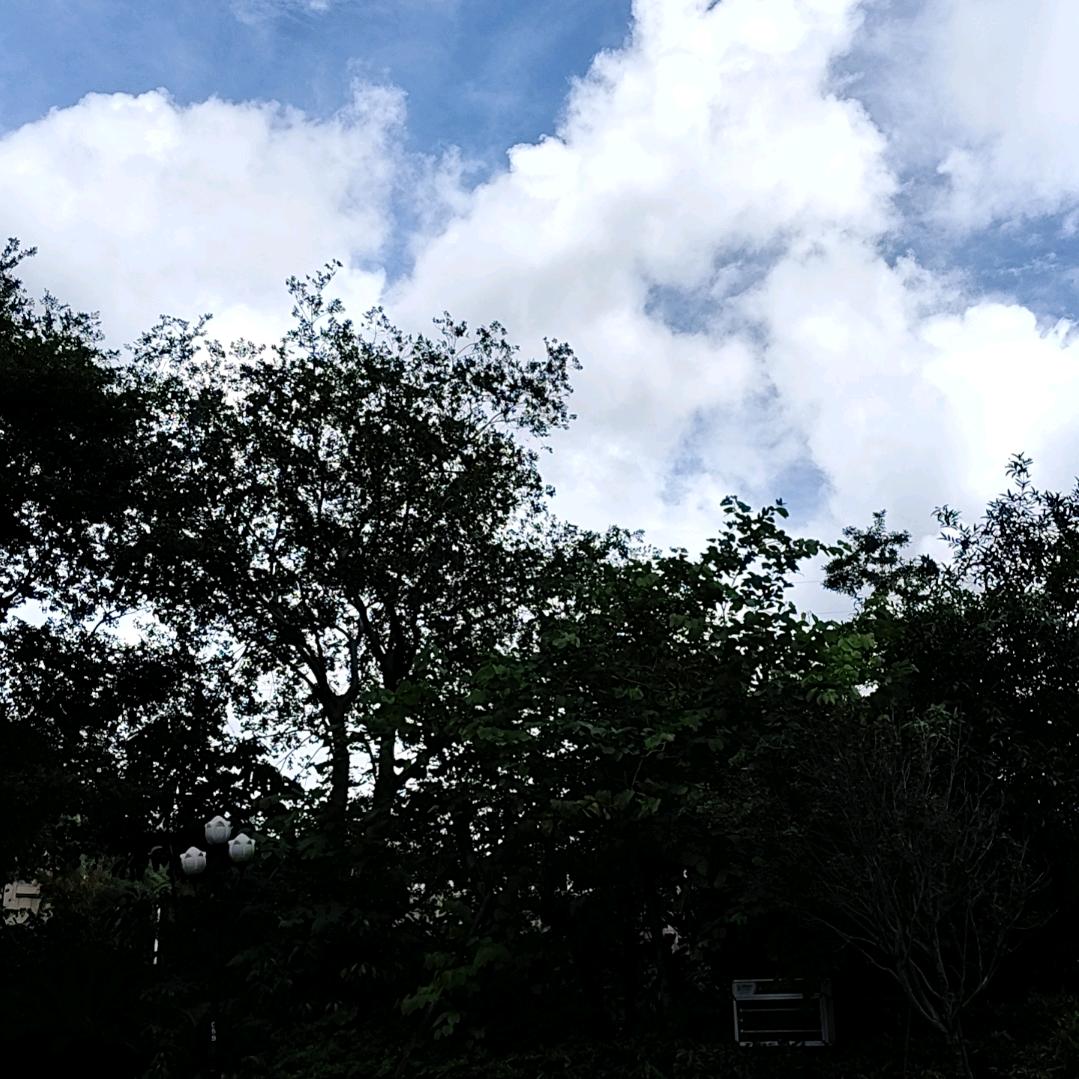 好好