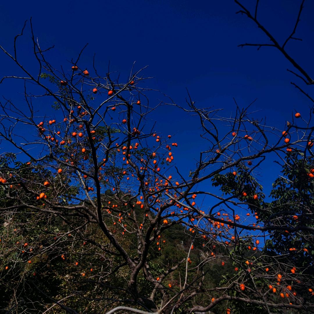 成为一位段子手