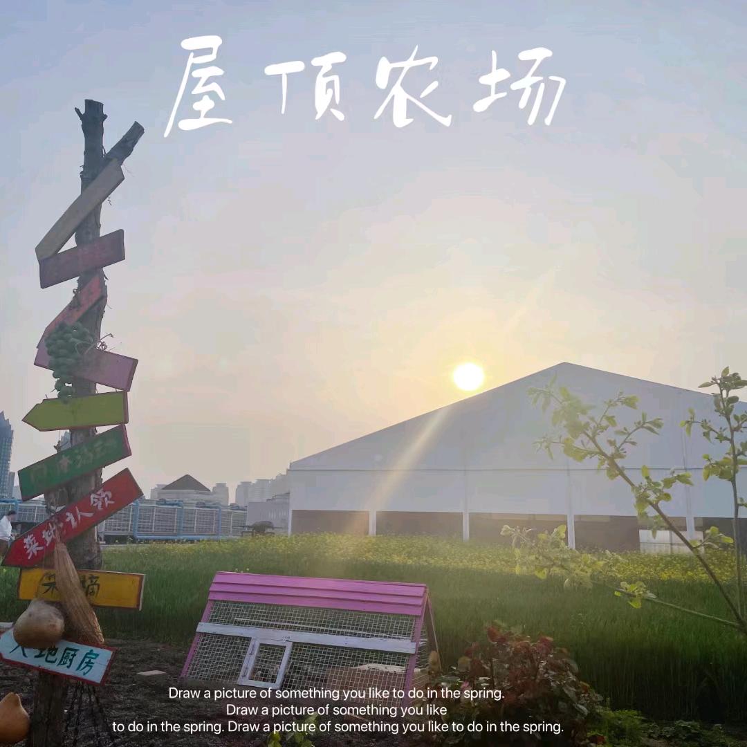 郑州专业屋顶共享菜园（宝龙广场店）