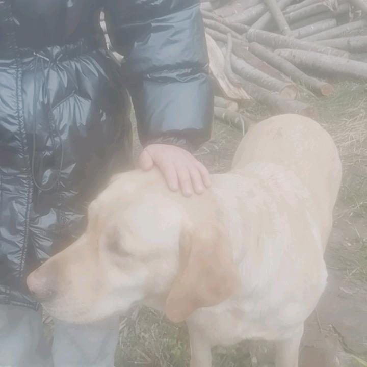 三疯