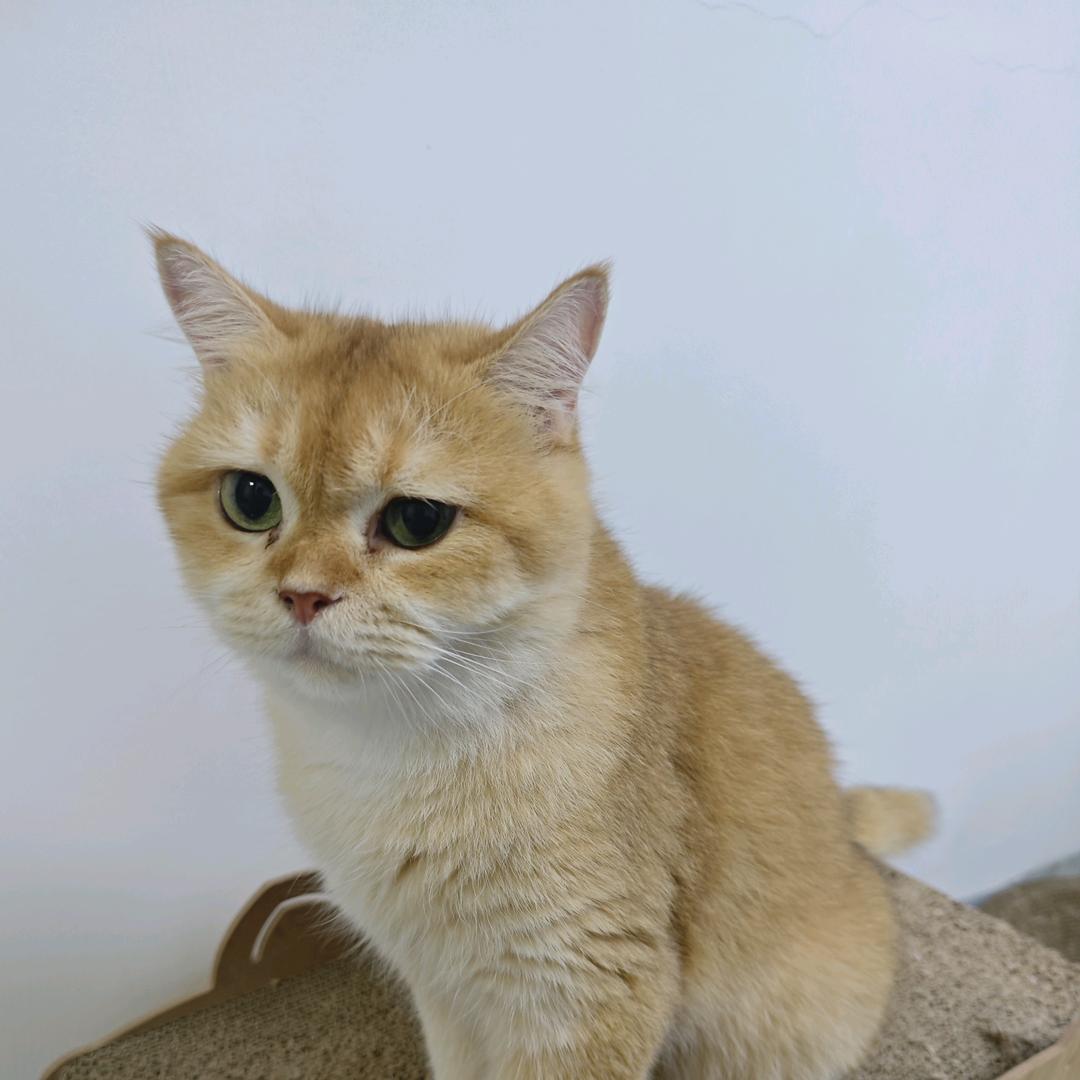 躺平选手的饿梦