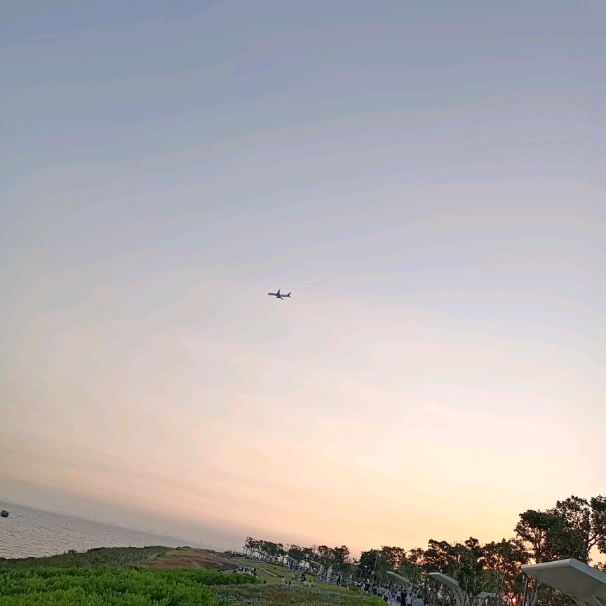 淡忘的记忆