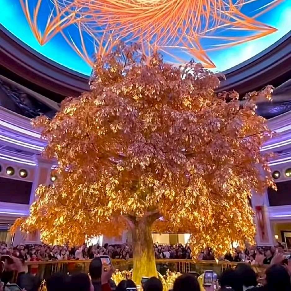 为了生活到处跑