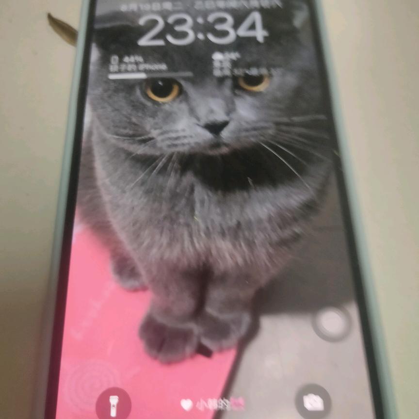 有缘悲伤