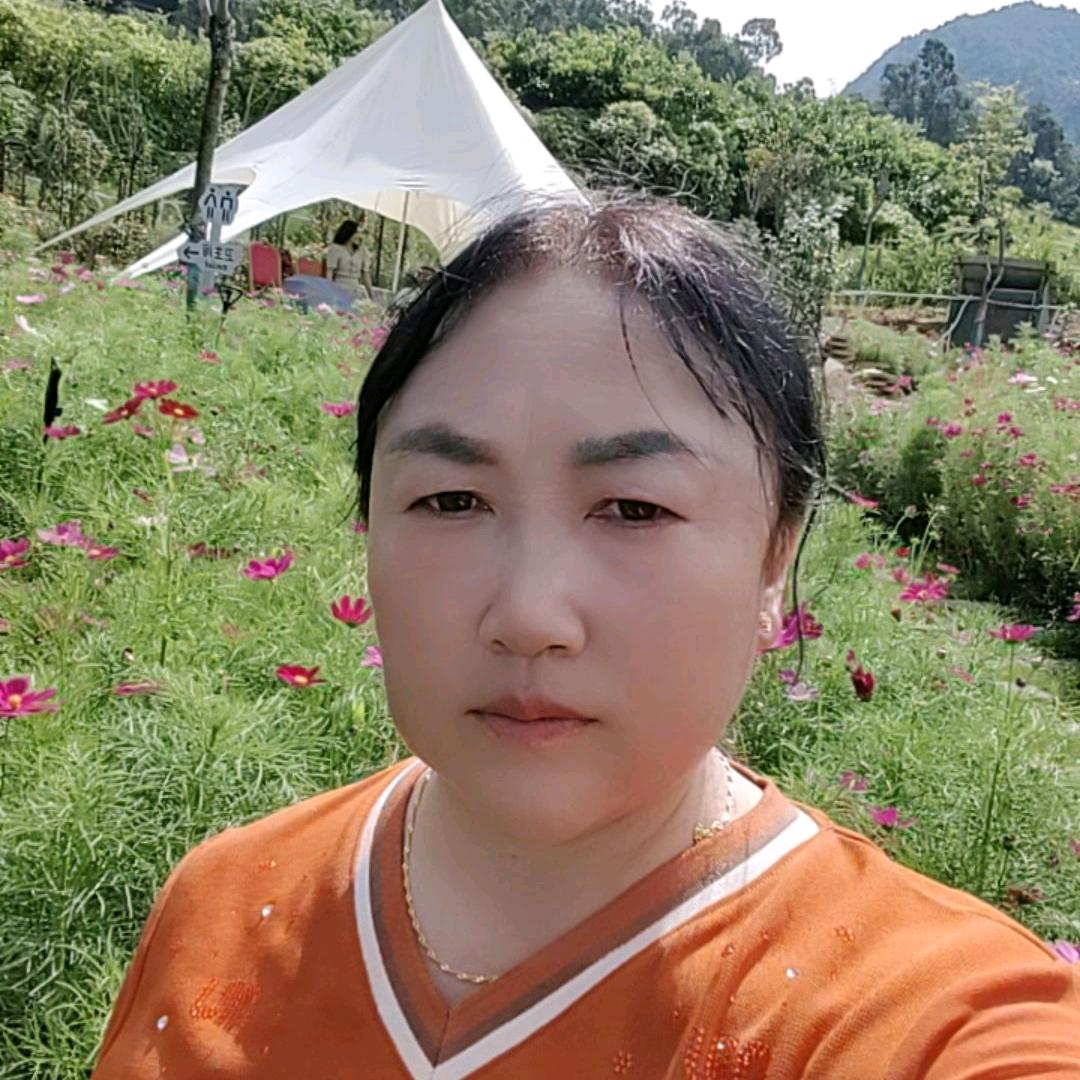 杨姐