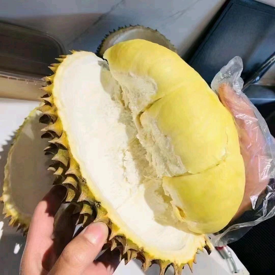 A-阿乐