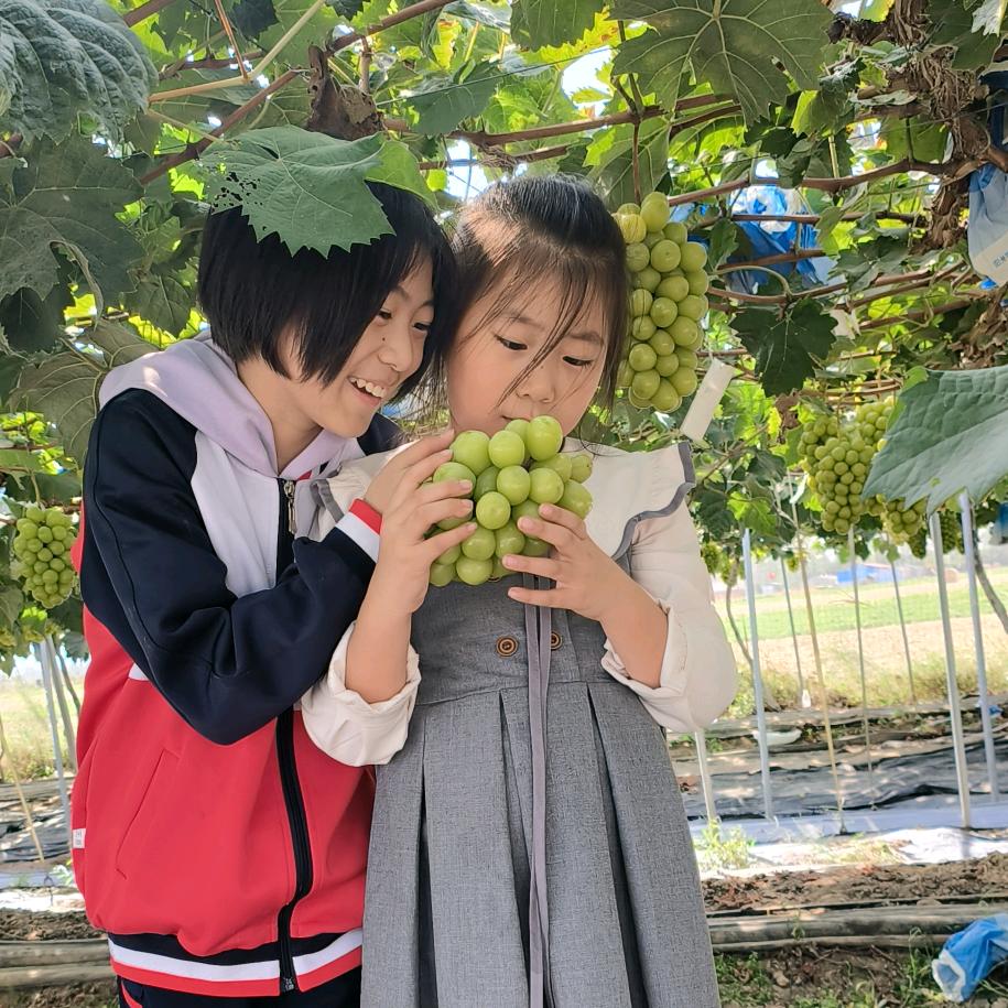 边家公子钱家婿