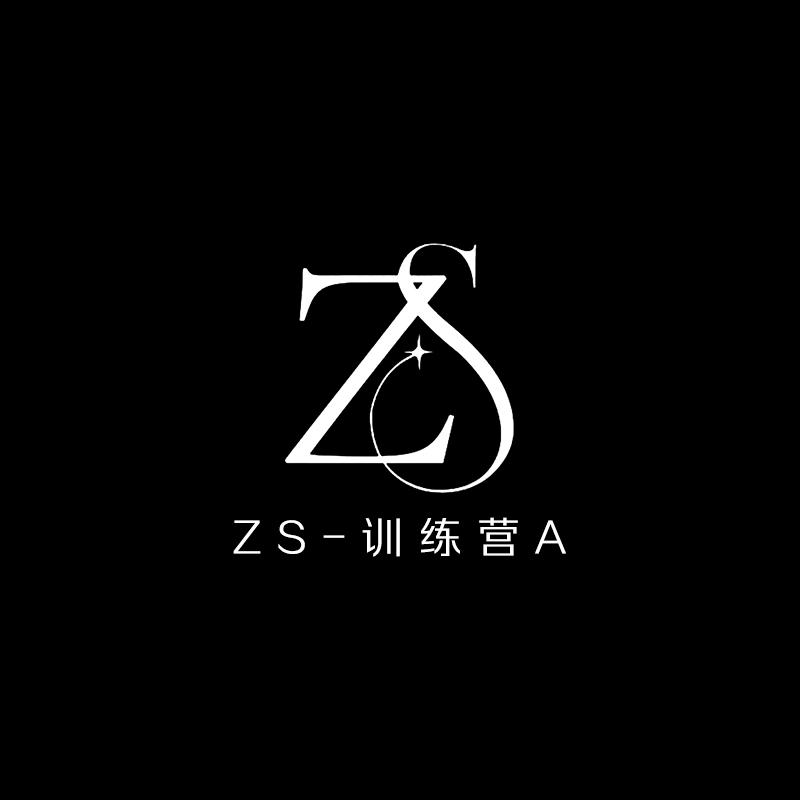 ZS训练营A