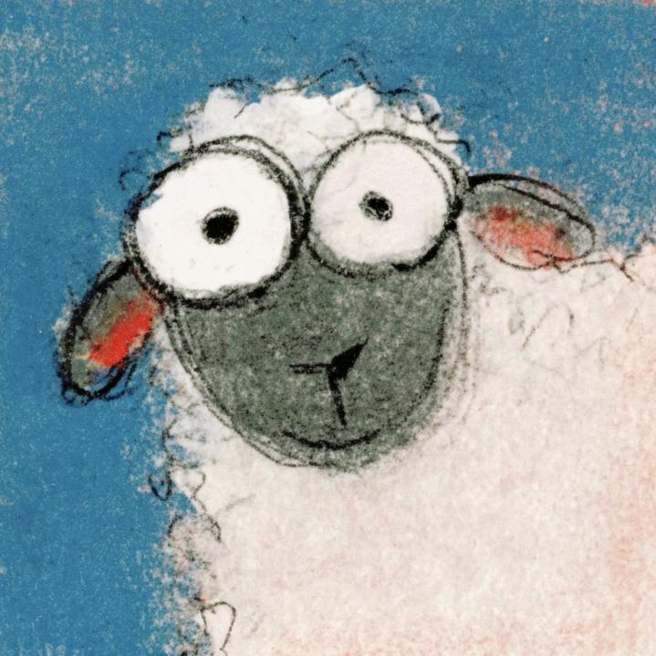 橙白白白白白白白