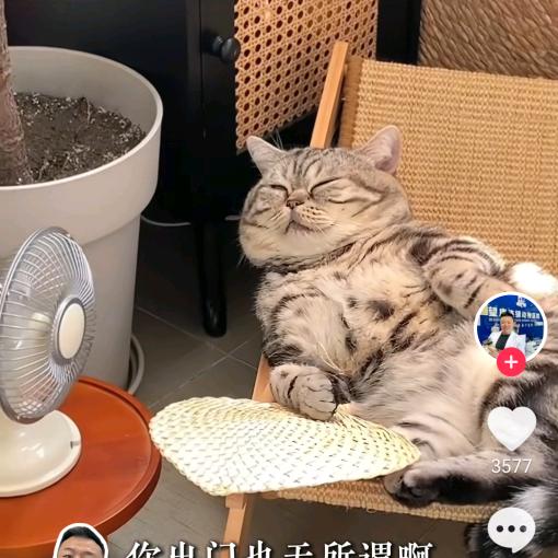 呵呵