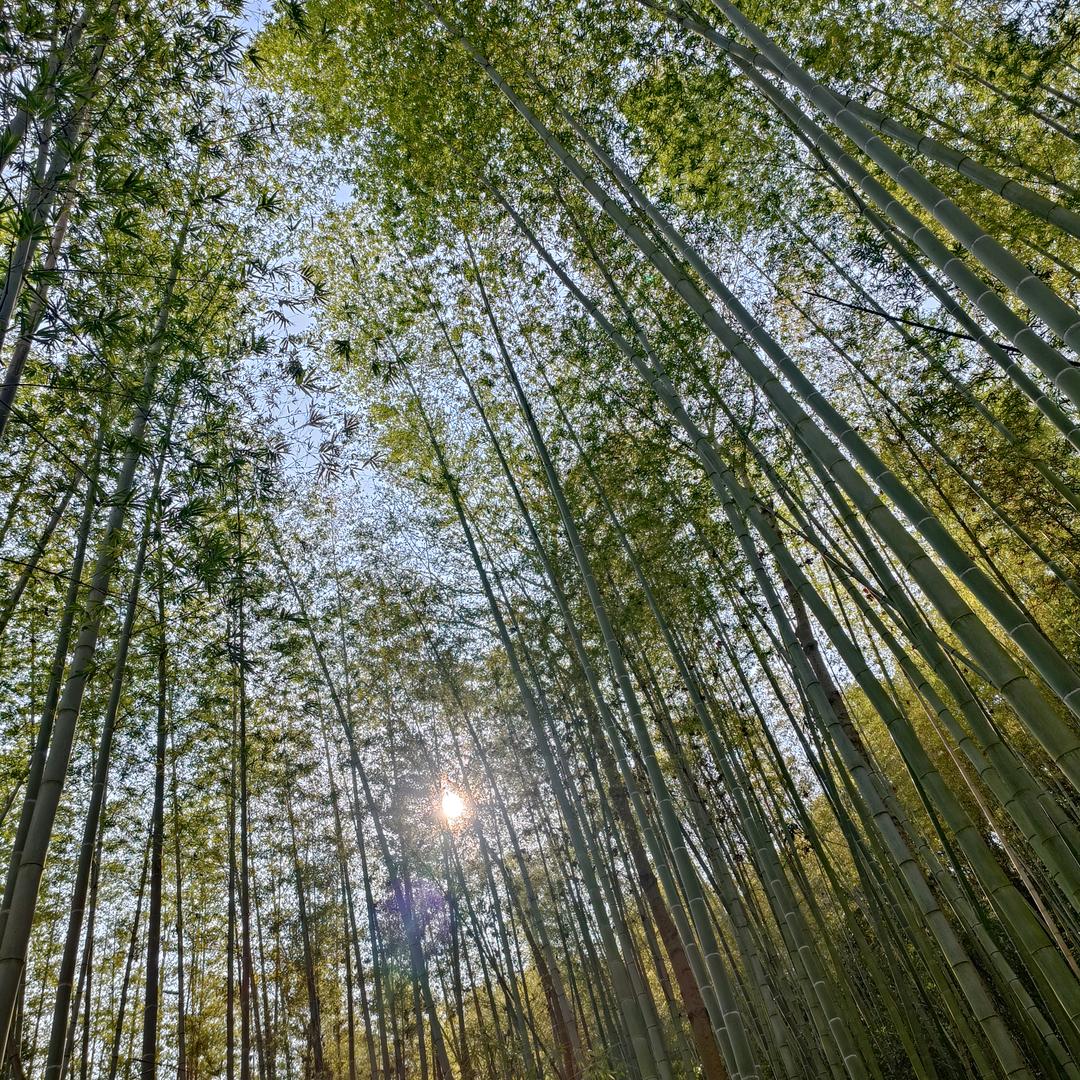 破碎的梦
