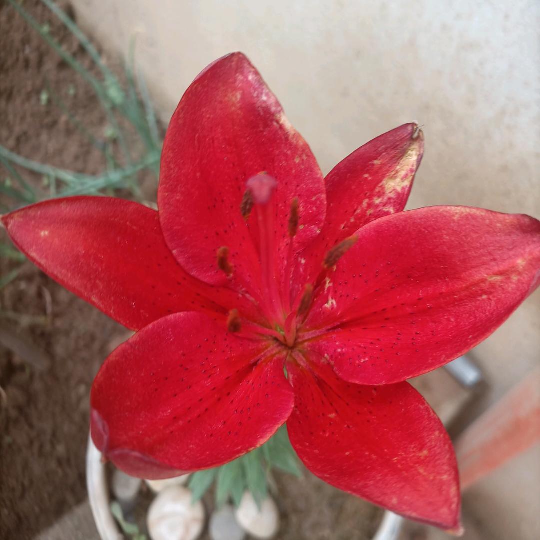 用户3909617968945小张