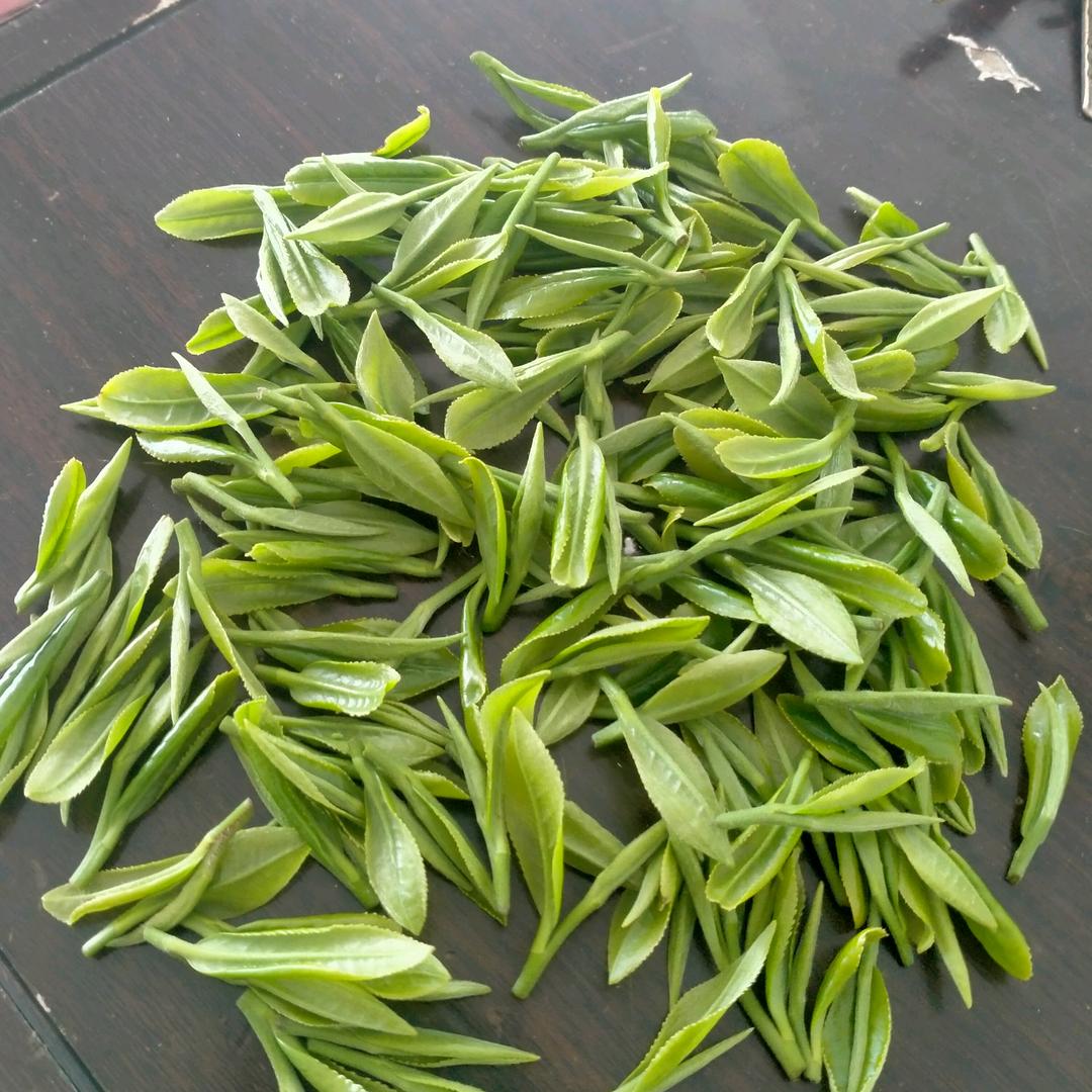 高山茶厂