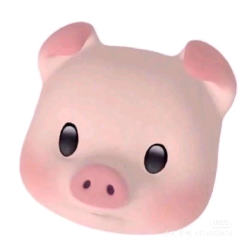 猪有福大王🐽