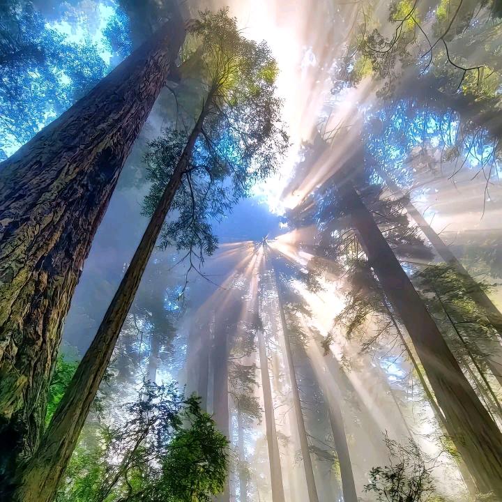 🌈顺遂无虞