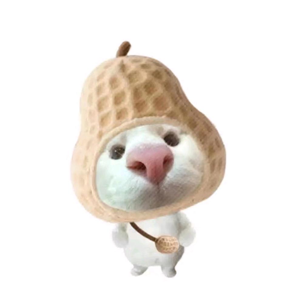 昭昭颂桉
