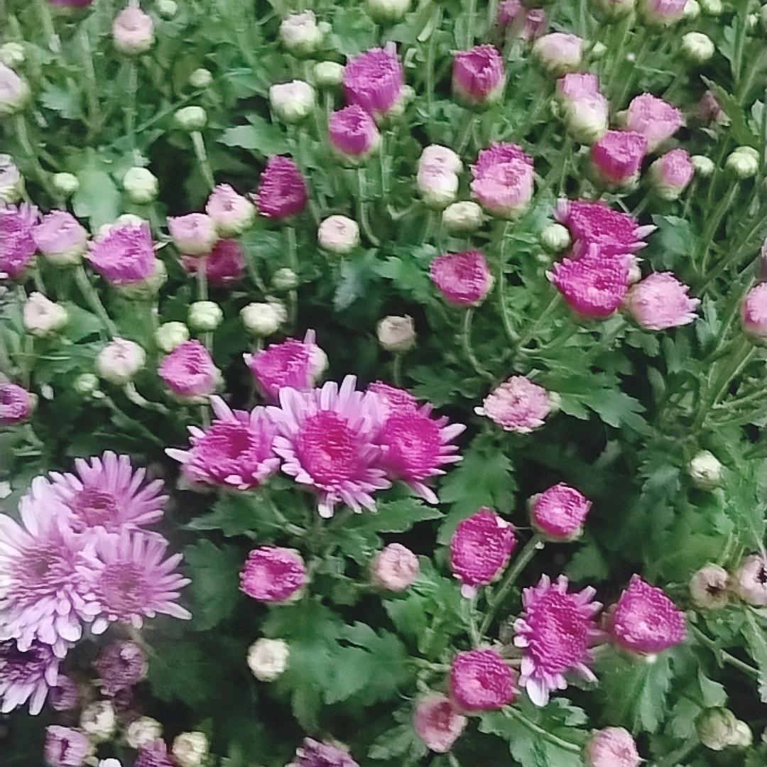 ❤ 听风浪漫过海