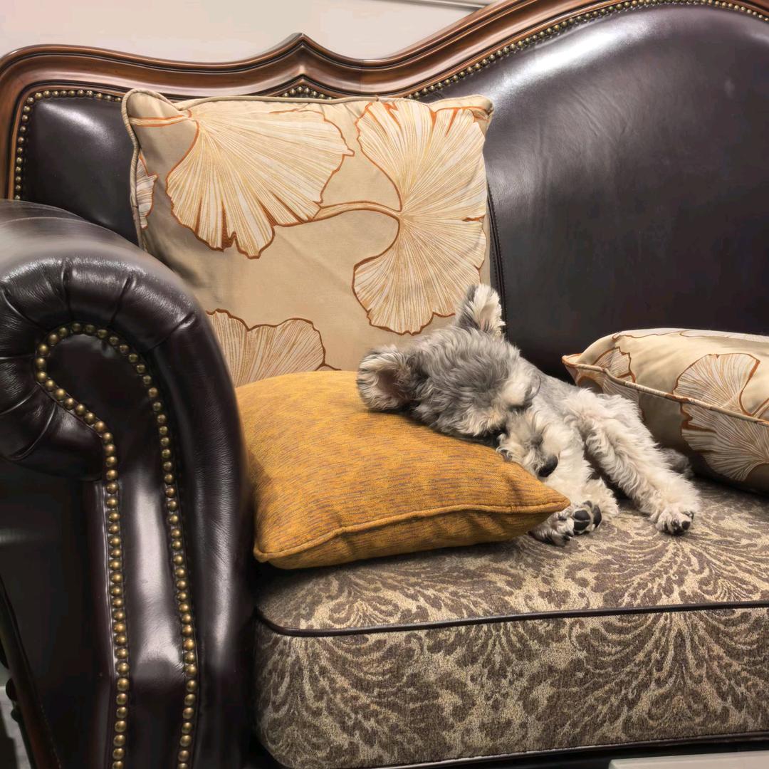 那就这样吧……