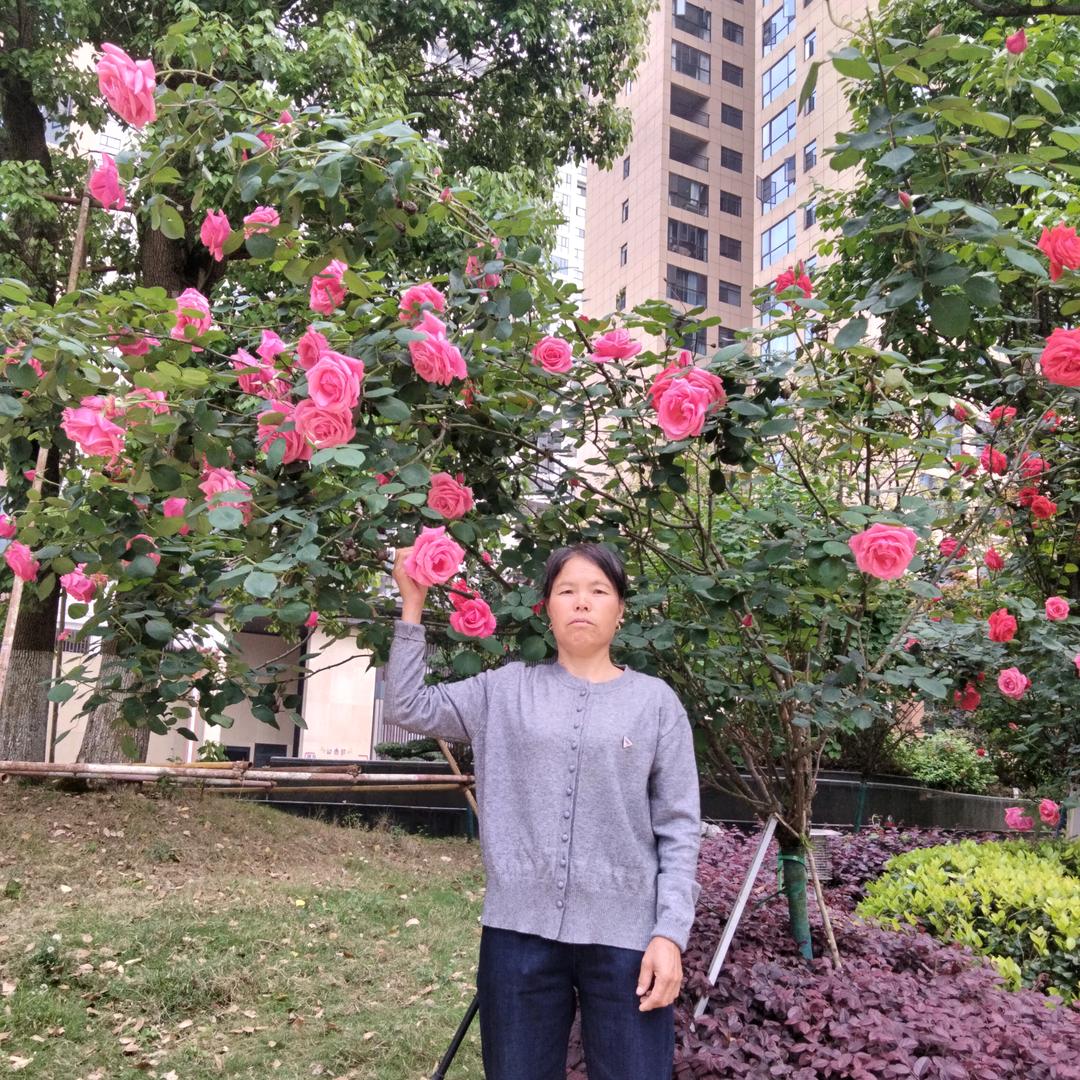 .@雨后初晴.没¥