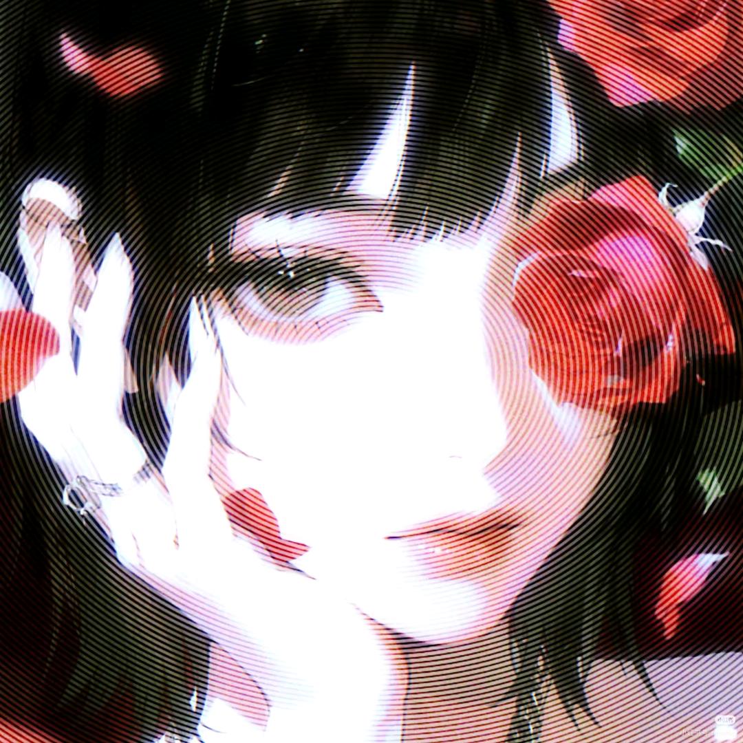 用户5048064623838