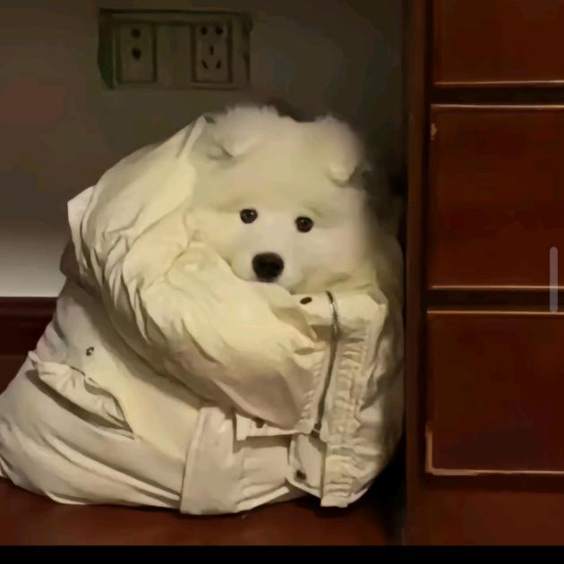 llllllllllllllklllll