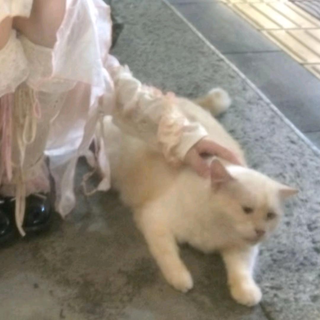 正止痛