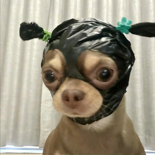 前夫当小三儿被暴打后求复婚