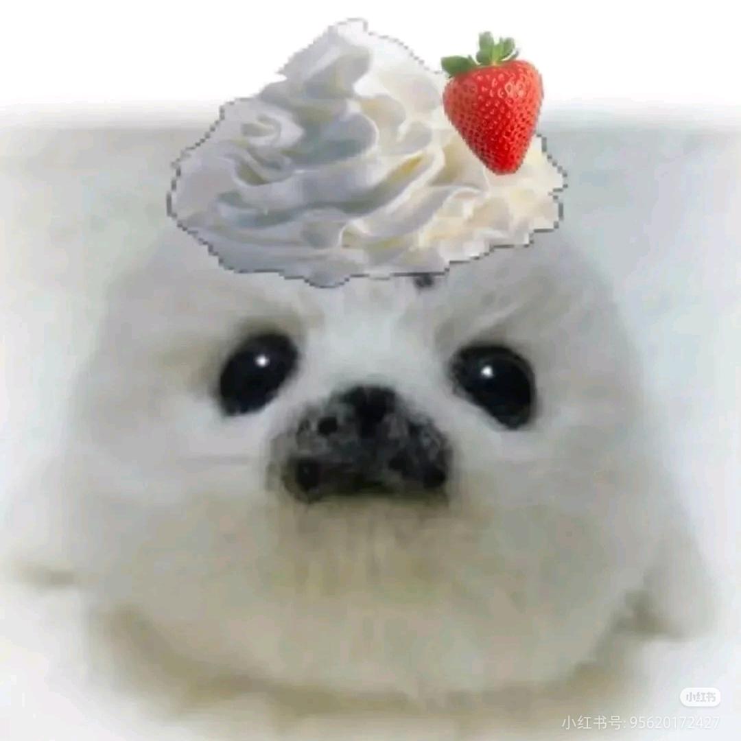 QuQipuff