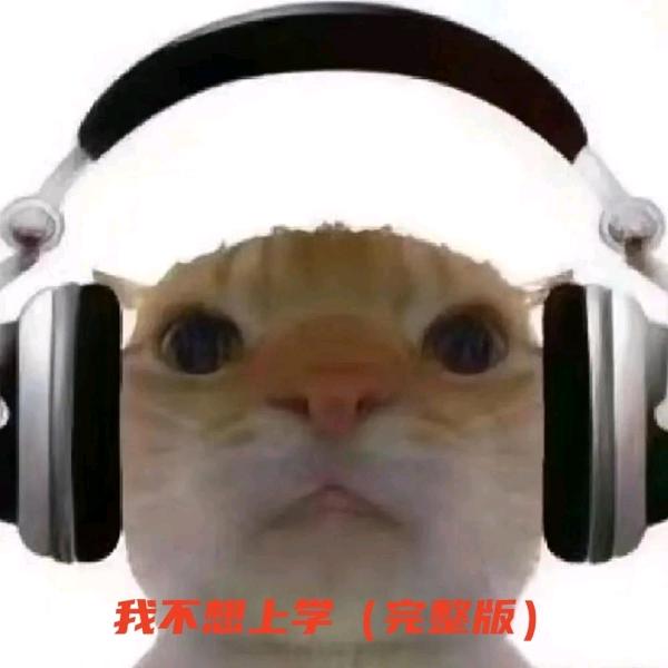 岩达首播