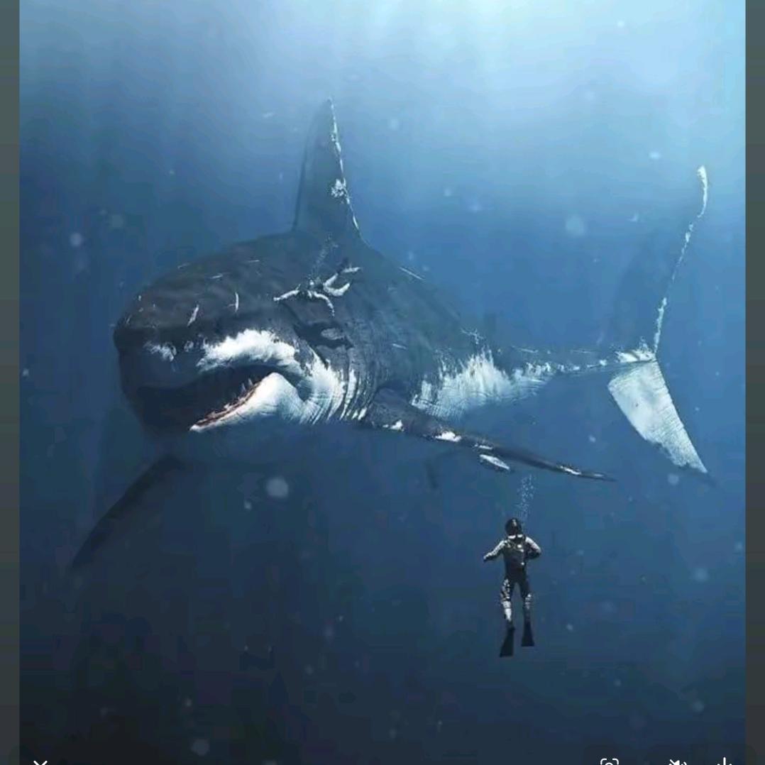 🖤.抱一《王大善人》